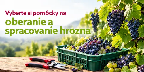 Pomocky na oberanie a spracovanie hrozna.webp